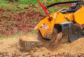 Organic Lawn Care Solutions in Cameron, WI